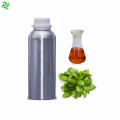 Skin Care Basil Essential Perfume Oil Grade Oil