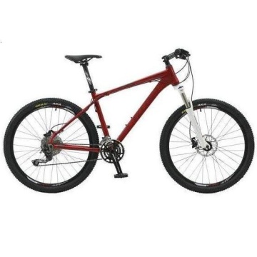 29 Inch Mountain Bike in MTB