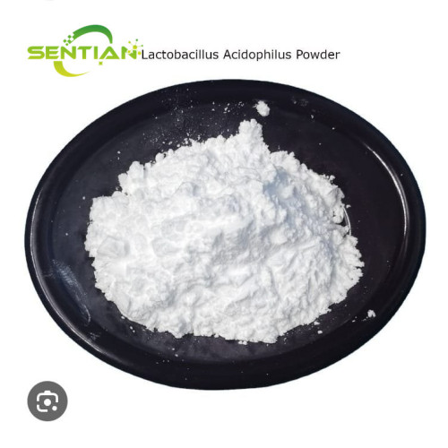 High Stability Freeze Dried Lactobacillus Bulgaricus