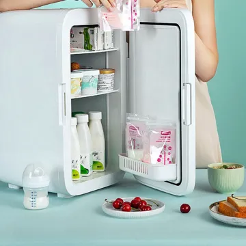 Portable 25L Electric Cooler and Warmer Mini Refrigerator for Cosmetics