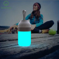 Ampiccando le luci della tenda a LED camper per l'esterno