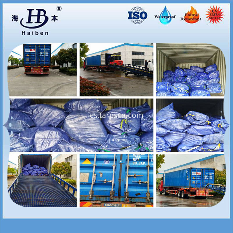 Tarpaulin Loading to Container