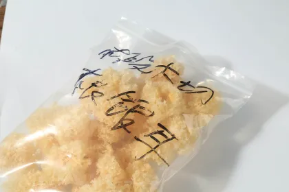 Organic Dried Tremella Mushroom - Golden Tremella Fungus Grown on Linden Wood