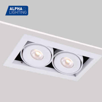 Modern Adjustable Double Head LED Downlights for Ceiling Design