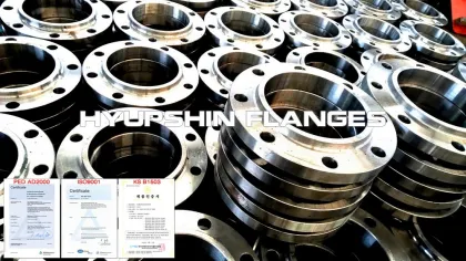 BS10 Table DE Weld Neck Flange SOFF BLANK