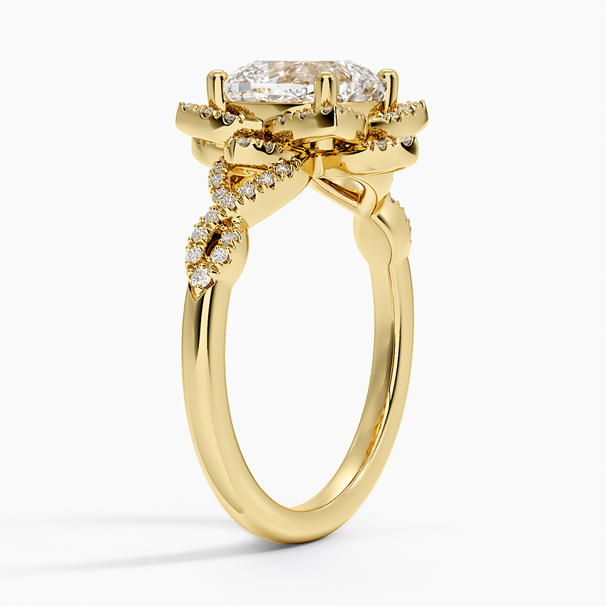 Angled View ng Floral Halo Engagement Ring na nagdedetalye sa Intertwined Shank