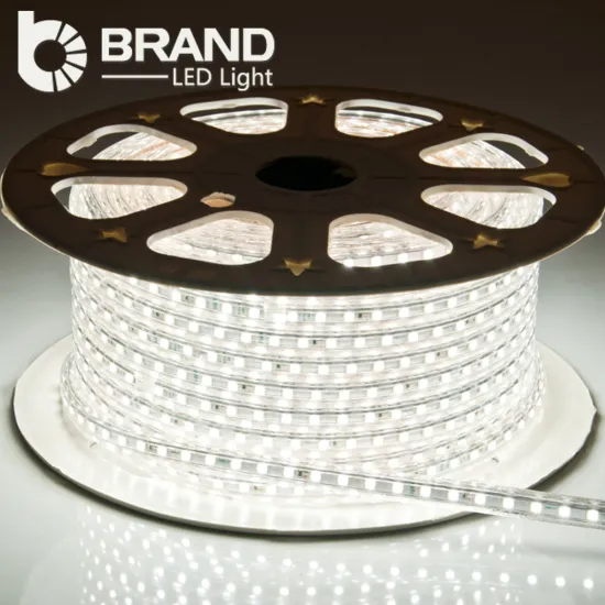 high quality ce rohs best price cool red IP65 AC220V luz de tira llevada