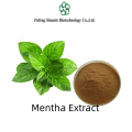 Mentha Extract Concentrate: Ideal for Beverages and Desserts