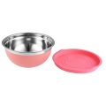 Plastic Lid Powder Coating Steel Salad Bowl