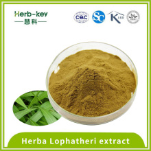 20:1 Light bamboo leaf powder contains 1% flavonoids