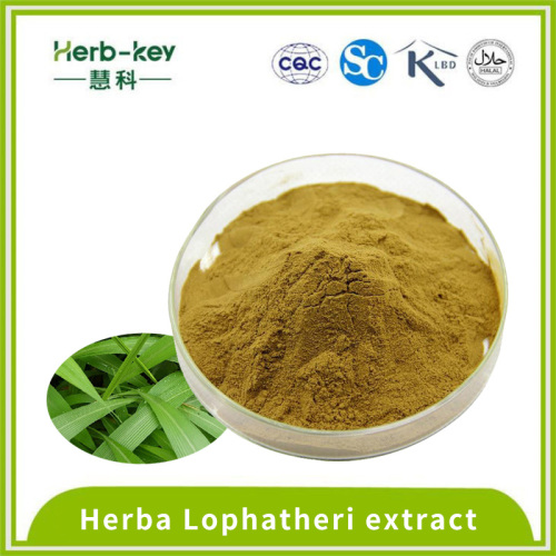 10: 1 Concentré Light Bamboo Leaf Extract Powder