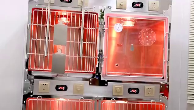 Stainless Steel Veterinary ICU Cages