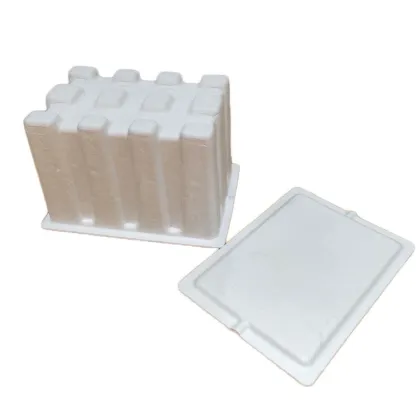Sugarcane Biodegradable Disposable Serving Trays With Lids
