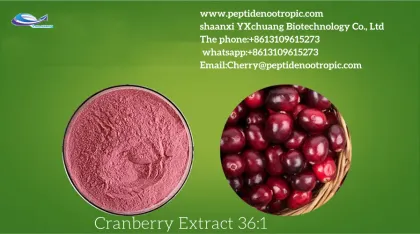 100% Natural Quality Cranberry Extract Powder