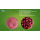 100% Natural Quality Cranberry Extract Powder