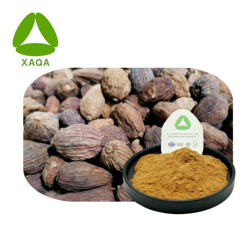 Alpinia Katsumadai Extract Pinocembrin 98% Powder