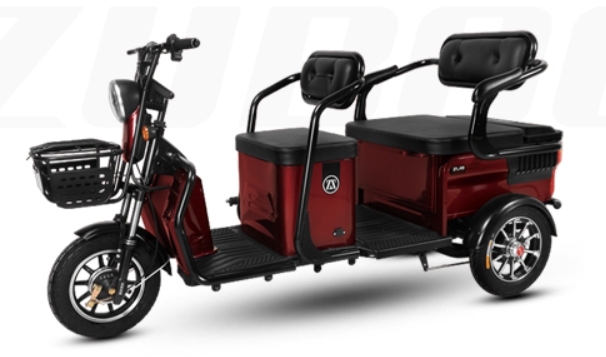 H3 (Leisure Electric Tricycle)