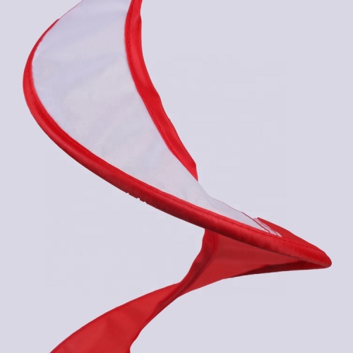 Wholesale Popular Decoration Polyester Windmill Toy Flag
