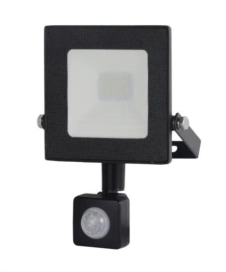 Security LED Flood Light with Motion Sensor