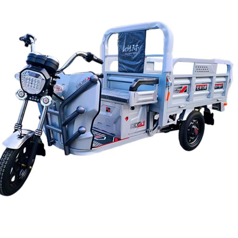 Eco Friendly Home Three Wheel Electric Vehicle