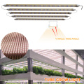 CE ROHS LED Grow Light