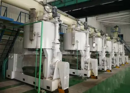 Screw oil press machine for the oil food and oil plant shop using