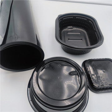 Polypropylene Plastic PP Sheet Roll for Packaging Containers