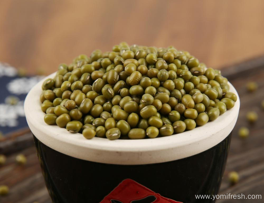 Mung Bean