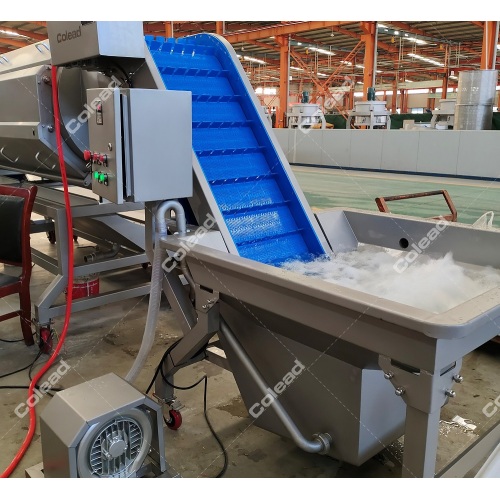 Continuously potato washing and peeling line