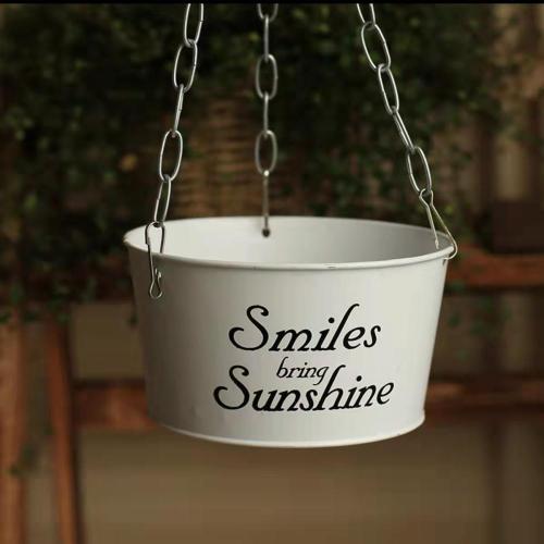 Circular hook hanging flowerpot