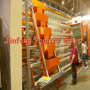 Automatic Egg Chicken Laying Cage (JF-K-A005)
