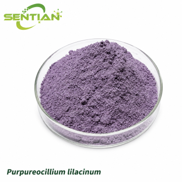 Purpureocillium lilacinum Biological Nematicide