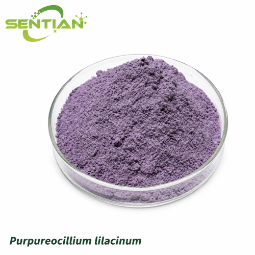 Purpureocillium lilacinum Biological Nematicide