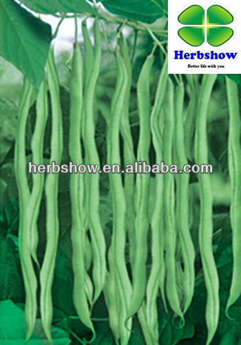 Vegetable seeds :Chinese Green bean seeds