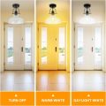 Semi Flush Mount Glass Shade Ceiling Lamp