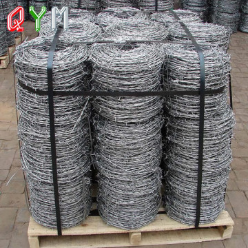 Galvanized Barbed Wire for Prison Barbed Wire for Airport Fence