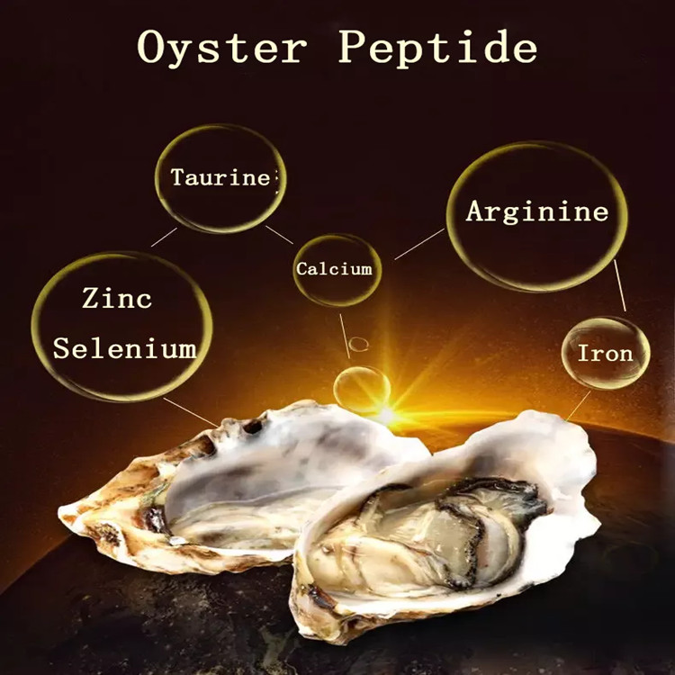 Small Molecule Oyster Oligopeptide