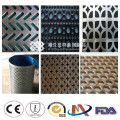 Maglia metallica perforata galvanizzata, piastra Perforatedmetal Mesh