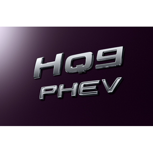 luxury MPV Hongqi HQ9 multi purpose vehicle Supplier