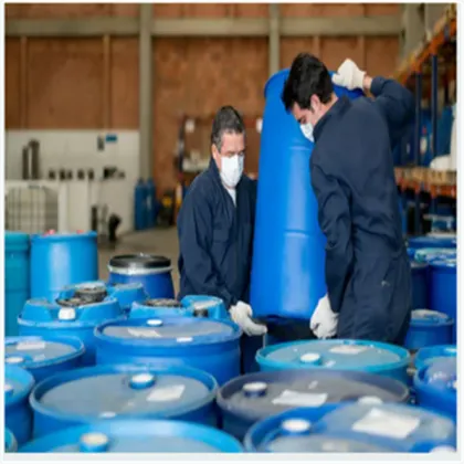 Hot sale ginseng extract ginseng powder