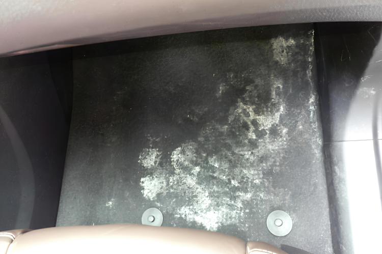 Moldy car mats