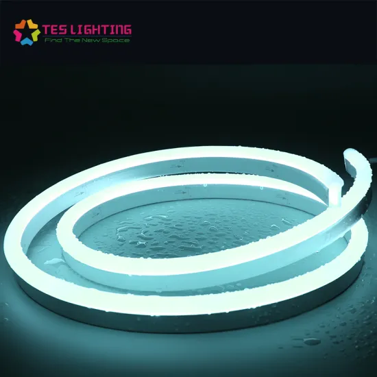 Specialty Waterproof IP68 LED Neon Flex
