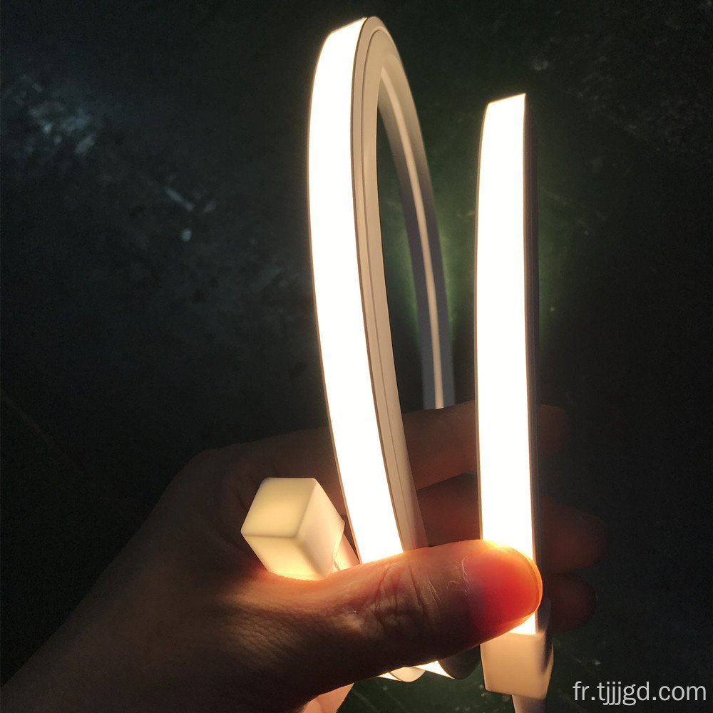 Lumière de corde à LED en silicone