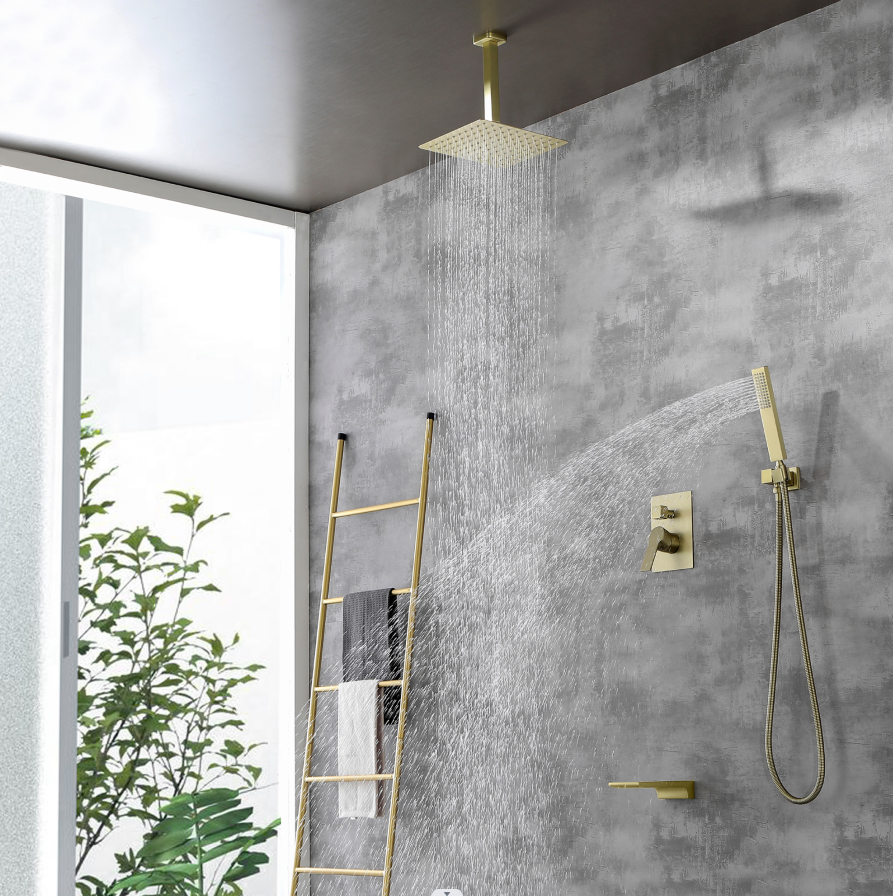 Ceiling Mounted Shower Set 1