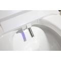 Smart Toilet Price Multi-function Ceramic Tankless