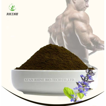 Ajuga Turkestanica Extract Turkesterone Pó