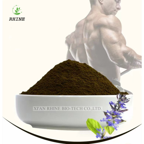 Ajuga Ciliata Bunge Extract Turkesterone Powder 41451-87-0