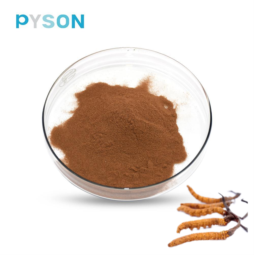 cordyceps mushroom extract