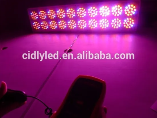 CDL A20 Powerful high quality Cidly Light Led Indoor grow lamps hydroponics growing system box lighting