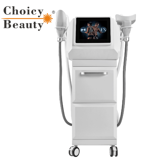 Cryo ที่ไม่รุกราน EMS Muscle Building อุปกรณ์ลดขนาด